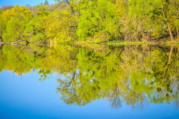Bosque reflejado en el río, primavera — Foto de Stock