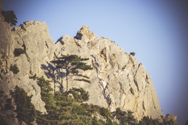Dağ taş ve ağaçlar mavi gökyüzü