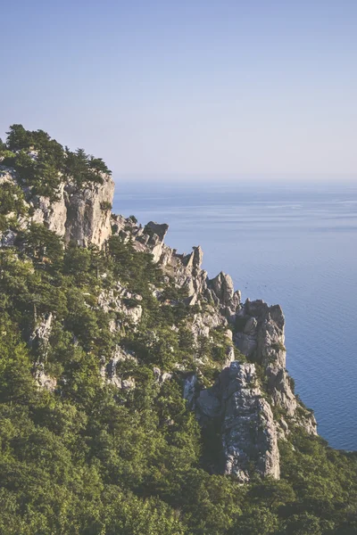 Rock with trees in the background sea — Stock Photo, Image