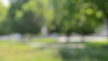 arka plan bulanık ağaçlar soyut ve inpark çim