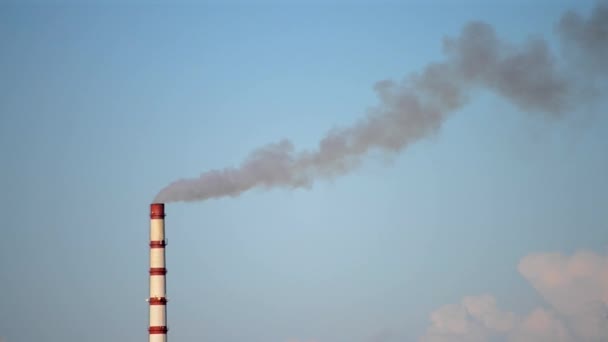 Tubo de CHP con humo oscuro — Vídeos de Stock