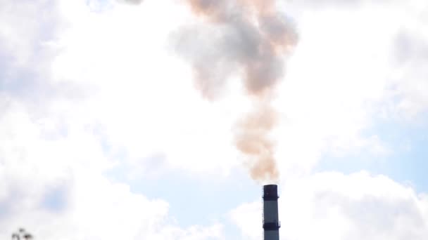 Smoke from a pipe close-up — Stock Video