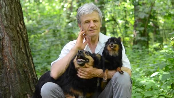 Homme aux cheveux gris et chien assis dans la forêt — Video