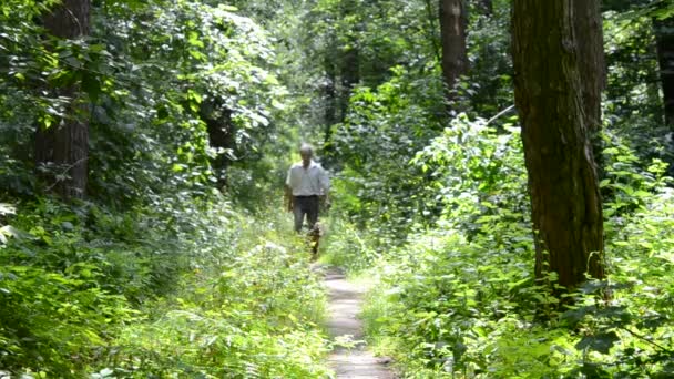 Mann läuft mit Hund auf Fußweg im Wald — Stockvideo
