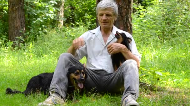 Мужчина сидит рядом с деревом с собаками — стоковое видео