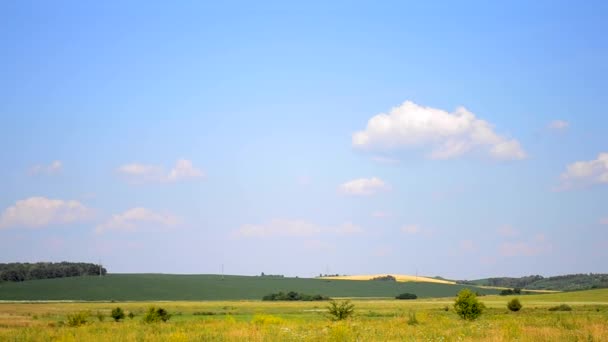 ciel avec des nuages sur le champ par une chaude journée d'été 
