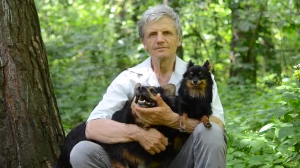 Anciano descansando en el bosque con perros — Vídeo de stock