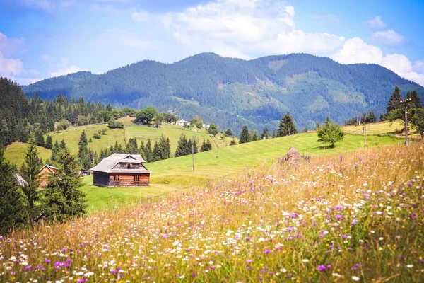 Wooden house in the mountains of Carpathians — Stock Photo, Image