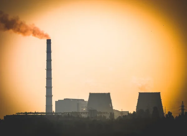 Silueta negra de la planta al atardecer amanecer primer plano —  Fotos de Stock