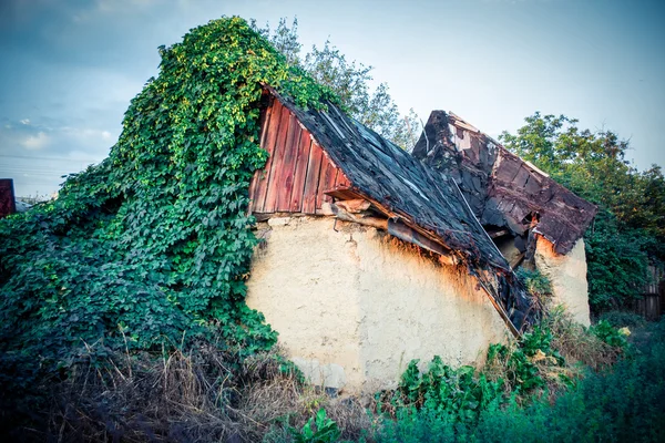Vieja casa con el techo roto y césped cubierto — Foto de Stock