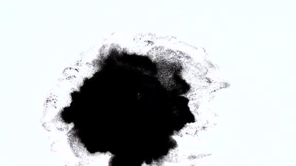 Taches d'encre noire — Video