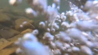 Dağ nehrinin dibindeki taşlar ve hava kabarcıkları