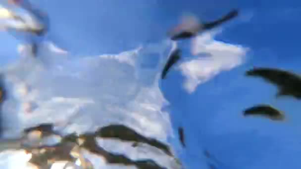 Vue de fond abstraite fond d'eau coulant ciel bleu — Video
