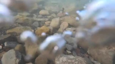 Dağ nehrinin dibindeki taşlar ve hava kabarcıkları