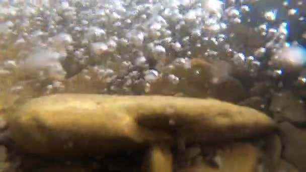 Pierres au fond d'une rivière de montagne et bulles d'air — Video