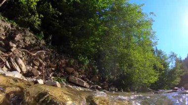 Manzara dağ nehri, dağlar, orman, taşlar ve mavi gökyüzü..