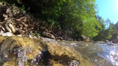 Manzara dağ nehri, dağlar, orman, taşlar ve mavi gökyüzü..