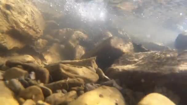 Piedras en el fondo del río de montaña y la superficie de agua de arroyo rápido y fuerte — Vídeos de Stock