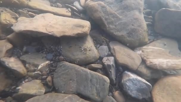 Камни на дне горной реки и воздушные пузыри — стоковое видео