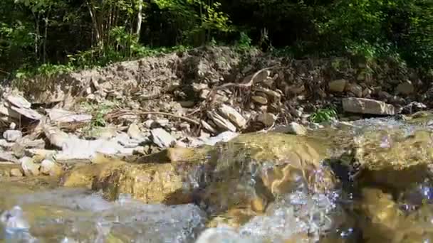 Krajobraz górski rzeka, góry, las, kamienie. — Wideo stockowe