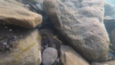 Dağ nehrinin dibindeki taşlar ve hava kabarcıkları