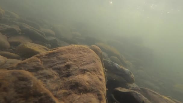 Piedras en el fondo de un río de montaña y burbujas de aire — Vídeos de Stock