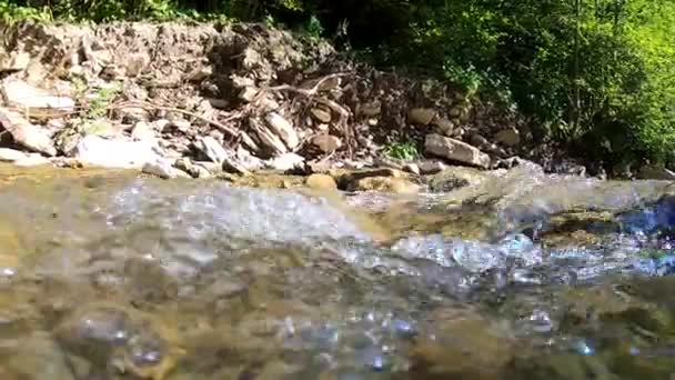 Landschaft Gebirgsfluss, Berge, Wald, Steine. — Stockvideo