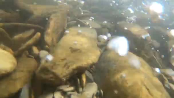 Piedras en el fondo de un río de montaña y burbujas de aire — Vídeos de Stock