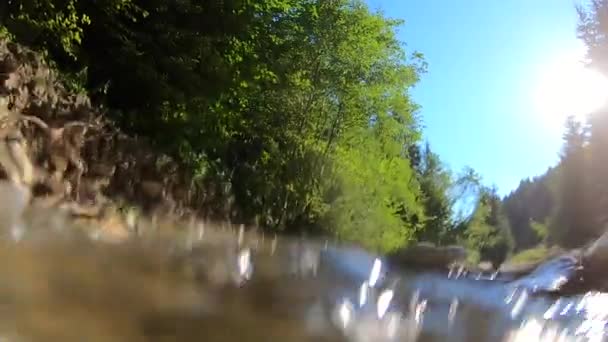 Landschap bergrivier, bergen, bos, stenen en blauwe lucht. — Stockvideo