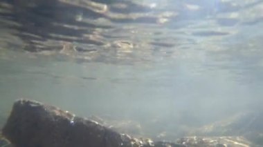 Dağ nehrinin dibindeki taşlar ve hava kabarcıkları