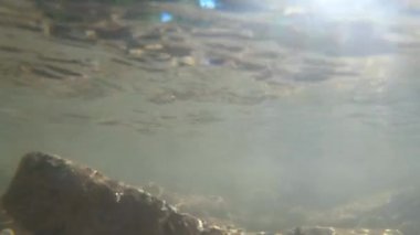 Dağ nehrinin dibindeki taşlar ve hava kabarcıkları