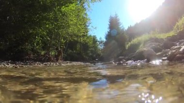 Manzara dağ nehri, dağlar, orman, taşlar ve mavi gökyüzü..