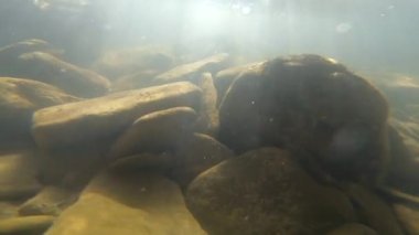 Dağ nehrinin dibindeki taşlar ve hava kabarcıkları