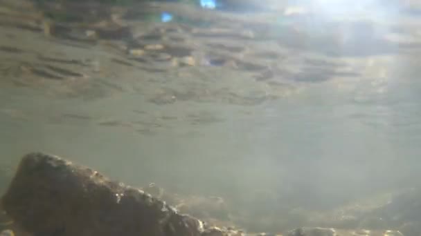 Stenen op de bodem van een bergrivier en luchtbellen — Stockvideo
