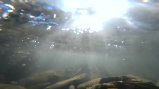 Pedras no fundo de um rio de montanha e bolhas de ar — Vídeo de Stock