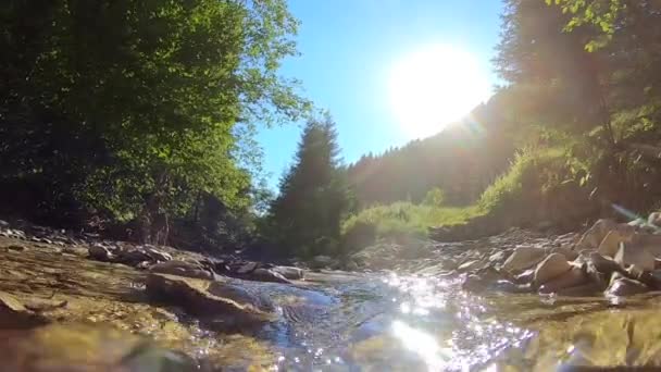Krajobraz górski rzeka, góry, las, kamienie i błękitne niebo. — Wideo stockowe