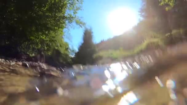 Paysage rivière de montagne, montagnes, forêt, pierres et ciel bleu — Video