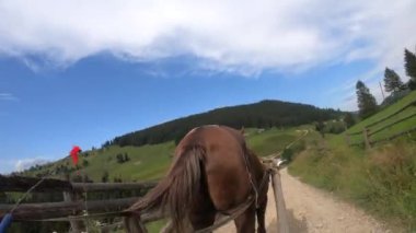 At, güneşli bir günde kirli bir yolda bir şezlong çeker.
