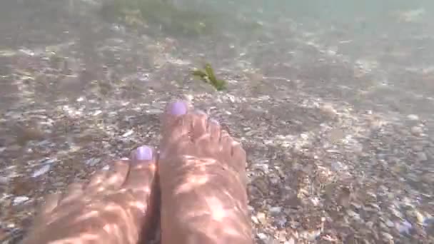 Zwei weibliche Füße im sauberen und transparenten Wasser am Sandstrand — Stockvideo