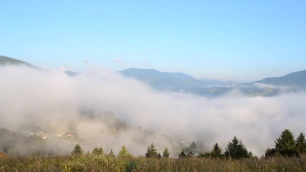 La niebla matutina se disipa en las montañas Cárpatos. Mañana niebla se mueve — Vídeo de stock