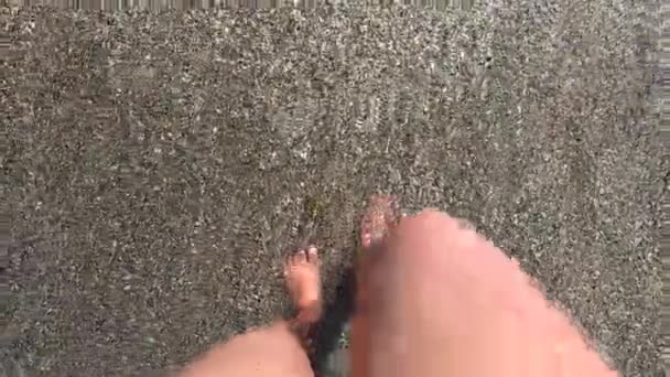 Una chica camina por la playa con arena marrón y conchas. — Vídeo de stock