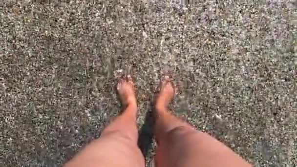 Uma menina fica na praia com areia marrom e conchas. — Vídeo de Stock