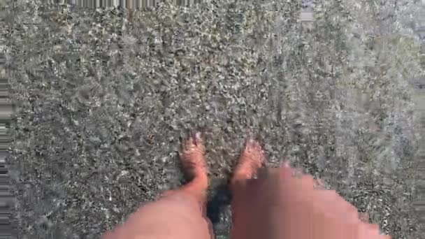 Ein Mädchen spaziert am Strand mit braunem Sand und Muscheln. — Stockvideo