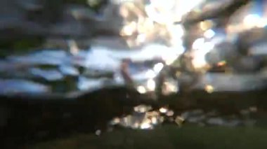 Dağ nehrinin güçlü akıntısı içindeki suyun soyut görüntüsü bulanıklaştı