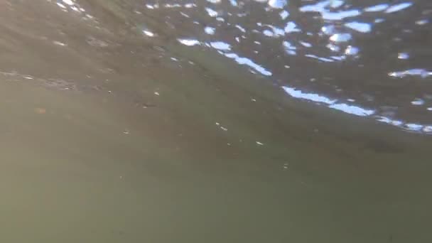 Abstrato vista inferior fluxo água fundo azul céu — Vídeo de Stock