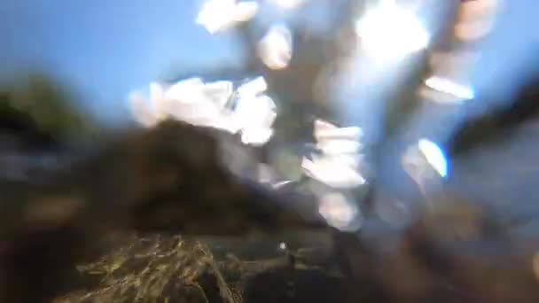 Meia paisagem rio de montanha, montanhas, floresta, pedras e céu azul. — Vídeo de Stock