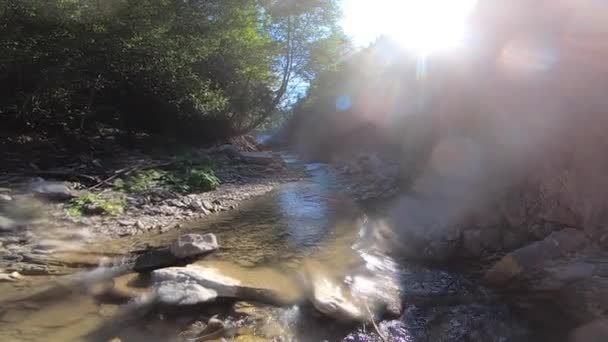 Paisaje montaña río, montañas, bosque, piedras y cielo azul — Vídeos de Stock