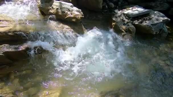 Paesaggio fiume di montagna, montagne, foresta, pietre e cielo blu — Video Stock