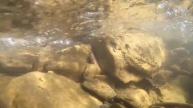 Güçlü dağ suyu içeri akıyor.