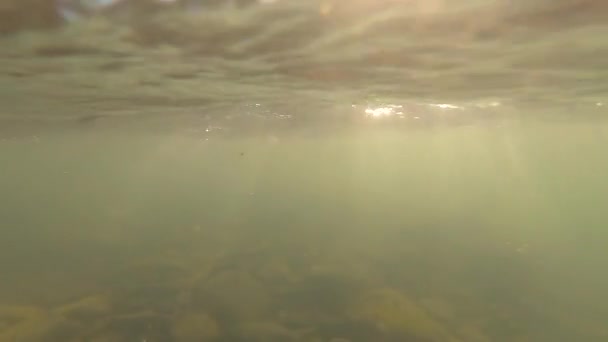 Movimento rápido de água com raios móveis de sol na superfície da água e na água. — Vídeo de Stock